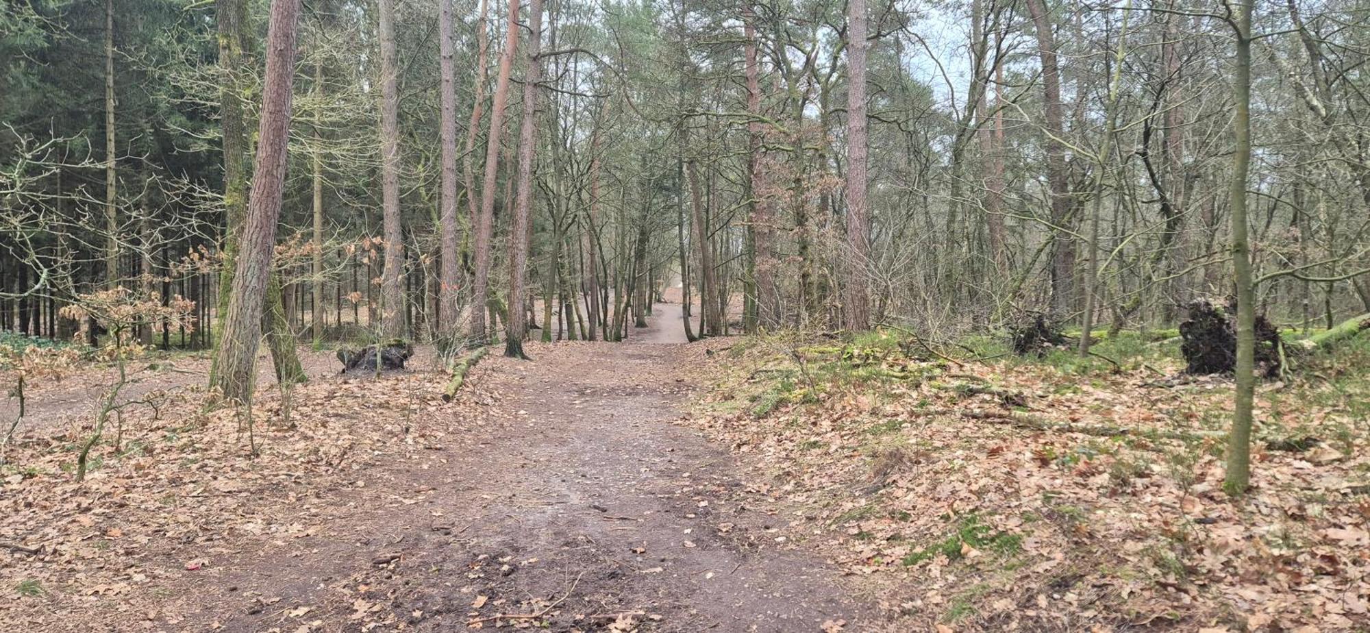 Het Veluwse Boshuisje Knus Chalet Met Omheinde Tuin Op De Veluwe Hoenderloo Extérieur photo