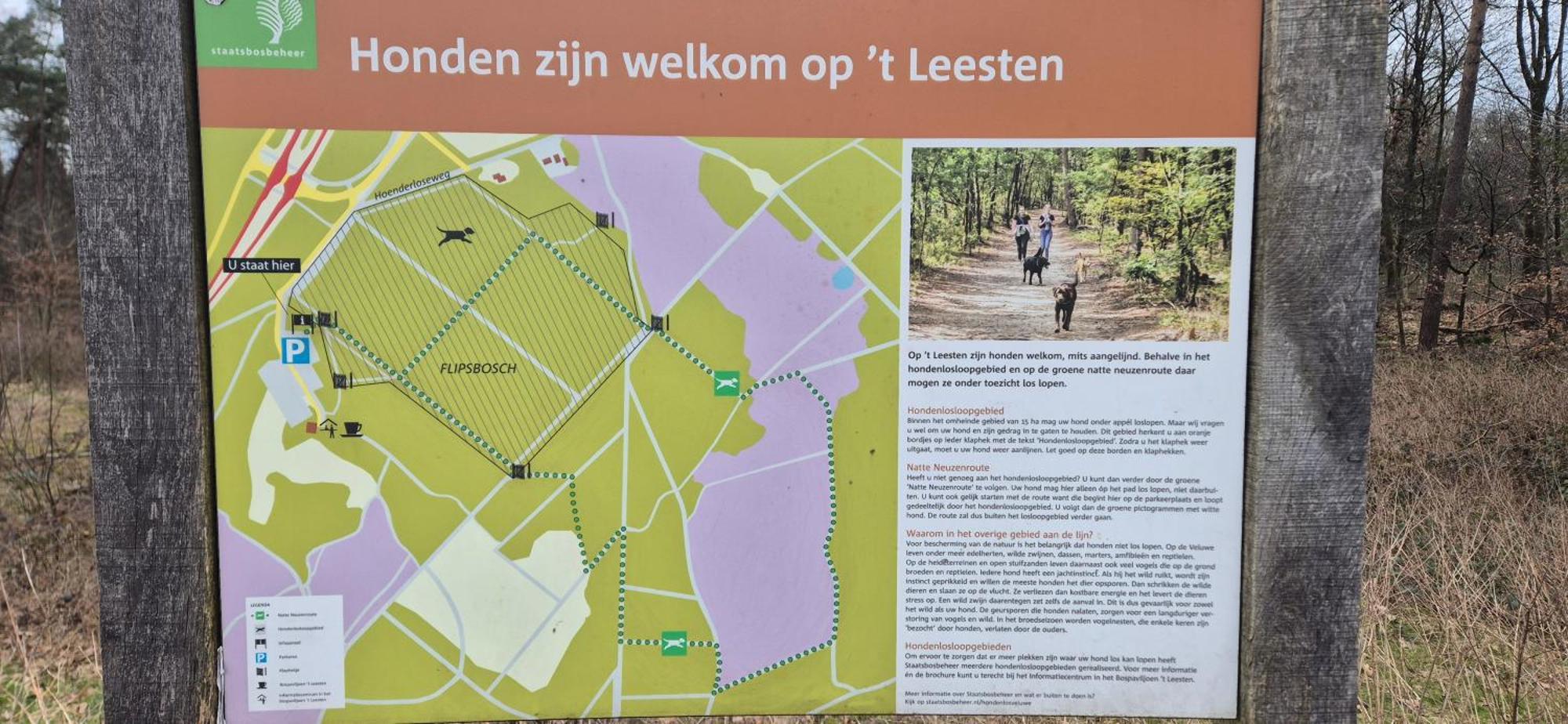 Het Veluwse Boshuisje Knus Chalet Met Omheinde Tuin Op De Veluwe Hoenderloo Extérieur photo